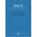 Bach - Komm Jesu Komm