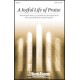 Joyful Life of Praise