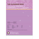 Cleansing Wave, The