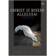 Christ Is Risen Alleluia (Bulk CD)