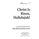 Christ Is Risen Hallelujah (Acc. CD)