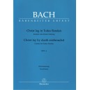 Bach -  Christ Lay by Death Enshrouded