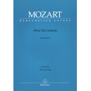 Mozart - Alma Dei creatoris