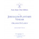 Lassus - Jueusalem Plantabis Vineam