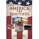 America the Beautiful (CD)