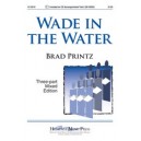 Wade In The Water (3-Part)