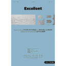 Excellent (Acc. CD)