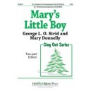 Mary's Little Boy