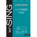 Undivided (Acc CD)