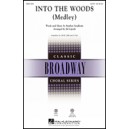 Into the Woods (Medley) (Acc. CD)