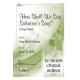 How Shall We Sing Salvations Song