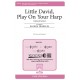 Little David Play On Your Harp (SSA)