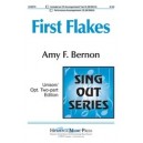 First Flakes  (Acc. CD)