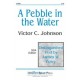 Pebble in the Water, A  (SSA)