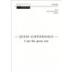 I Am the Great Sun  (SATB(