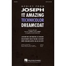 Joseph and the Amazing Technicolor Dreamcoat