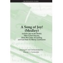 A Song of Joy (Medley)