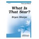 What is That Star  (3-Pt)