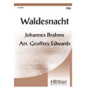Waldesnacht (SSA)
