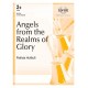 Angels from the Realms of Glory  (3-5 Octaves)