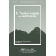 It Took a Lamb (Accompaniment CD)