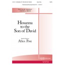 Hosanna to the Son of David (Acc. CD)