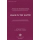 Wade in the Water  (SATB divisi)