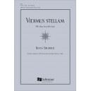 Vidimus Stellam (We Have Seen His Stellam)  (SATB)