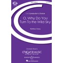 O Why Do YOu Turn to the Wild Sky  (SATB)