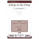 Asleep in the Deep  (TBB)