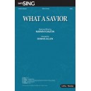 What a Savior (Accompaniment CD)