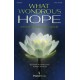 What Wondrous Hope (Accompaniment CD - Split)