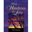 Niedmann - What Wondrous Love