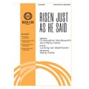 Risen Just As He Said (Orchestral Score and CD with Printable Parts)