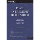 Peace in the Midst of the Storm (Acc. CD)