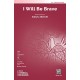 I Will Be Brave  (Accompaniment CD)