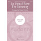 Lo, How a Rose E'er Blooming (SATB)