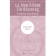 Lo, How A Rose E'er Blooming (SATB)