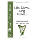Little David Sing Hallelu (Acc. CD)