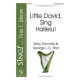 Little David Sing Hallelu (Acc. CD)