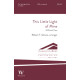 This Little Light of Mine (SATB)