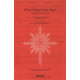 How Great Our Joy (SATB) *POP*