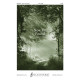 Now I'm Found (SATB)