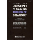 Joseph and the Amazing Technicolor Dreamcoat (Medley) (Combo)