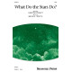 What Do the Stars Do? (SSAB)