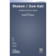Shalom / Zum Gali (SAB)